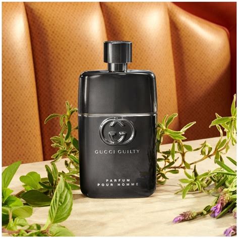 gucci guilty homme fragrantica|where to buy gucci guilty.